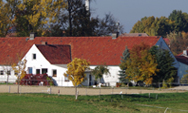 Reitverein Taucherwald e.V.